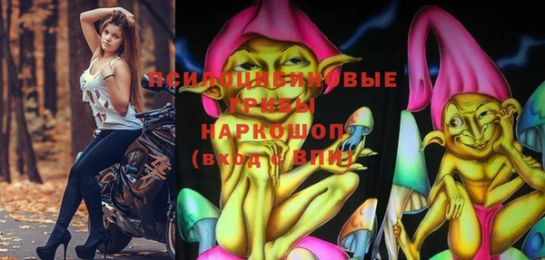 герыч Алексин
