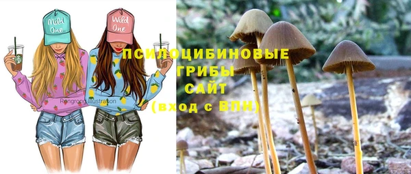 герыч Алексин