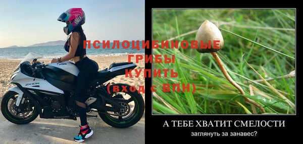 трава Алзамай