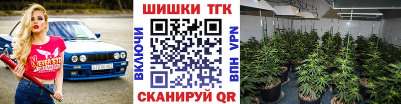 Каннабис индика  магазин    мориарти как зайти  Луга 