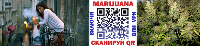 Конопля сатива Луга